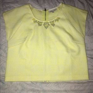 The clothing company crop top